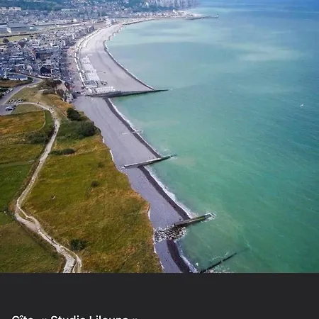 Lilou Avec Parking Prive Apartment *